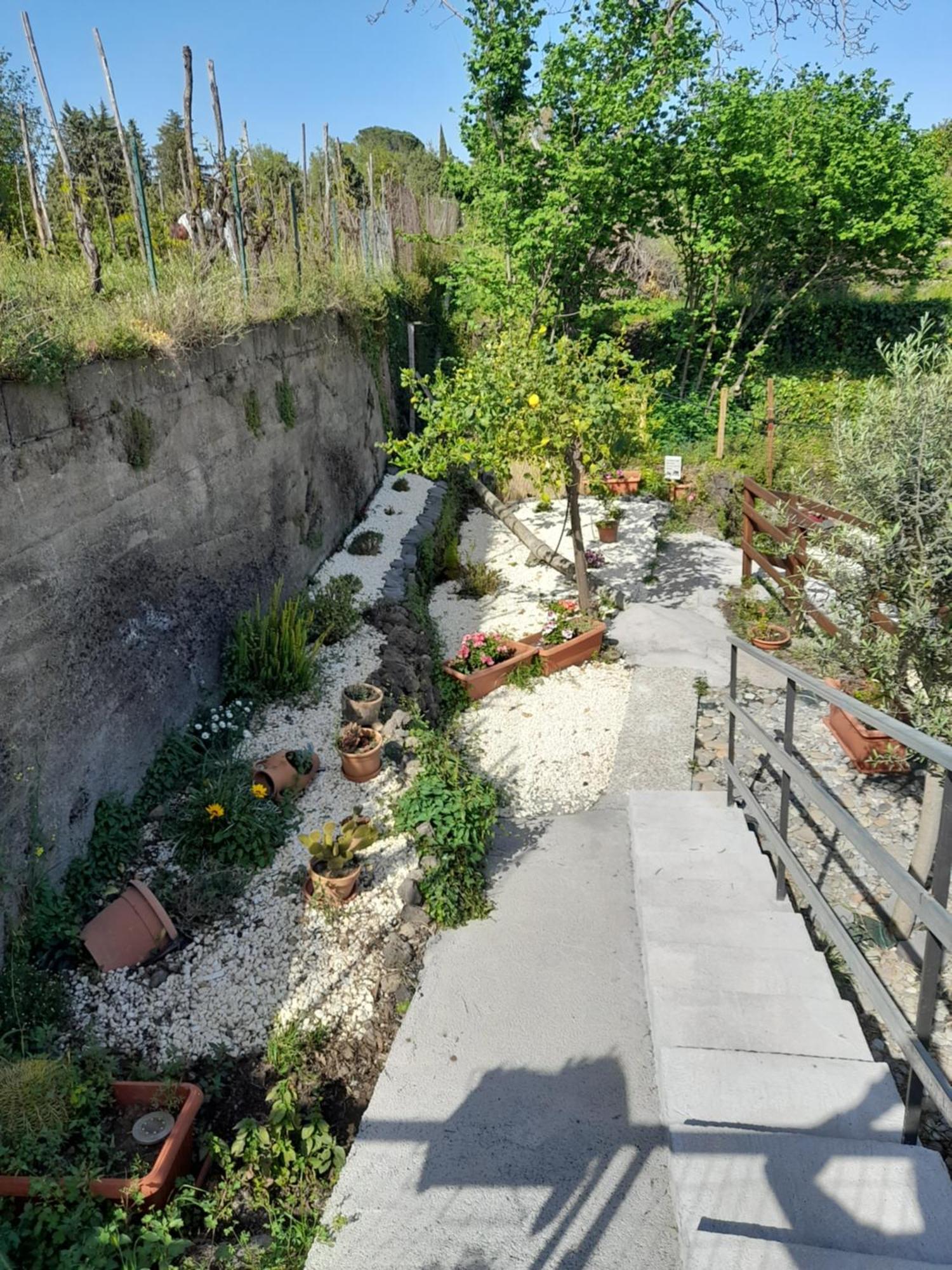 Sikelia Etna House Vila Zafferana Etnea Exterior foto